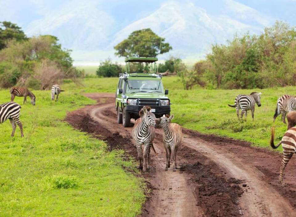 Savannahs & Sands - Encounters Travel - Kenya - Image 7