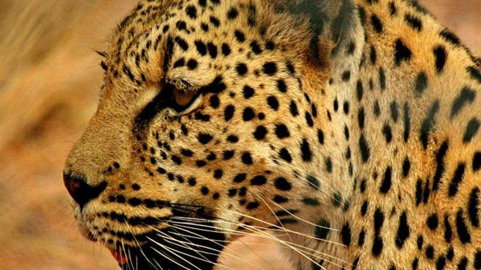 Savannahs & Sands - Encounters Travel - Kenya - Image 2