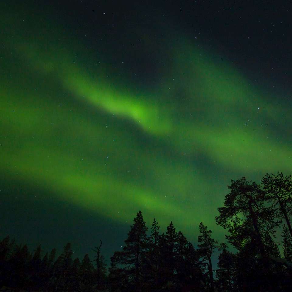 Scandinavian Northern Lights - Trafalgar - Finland - Image 6