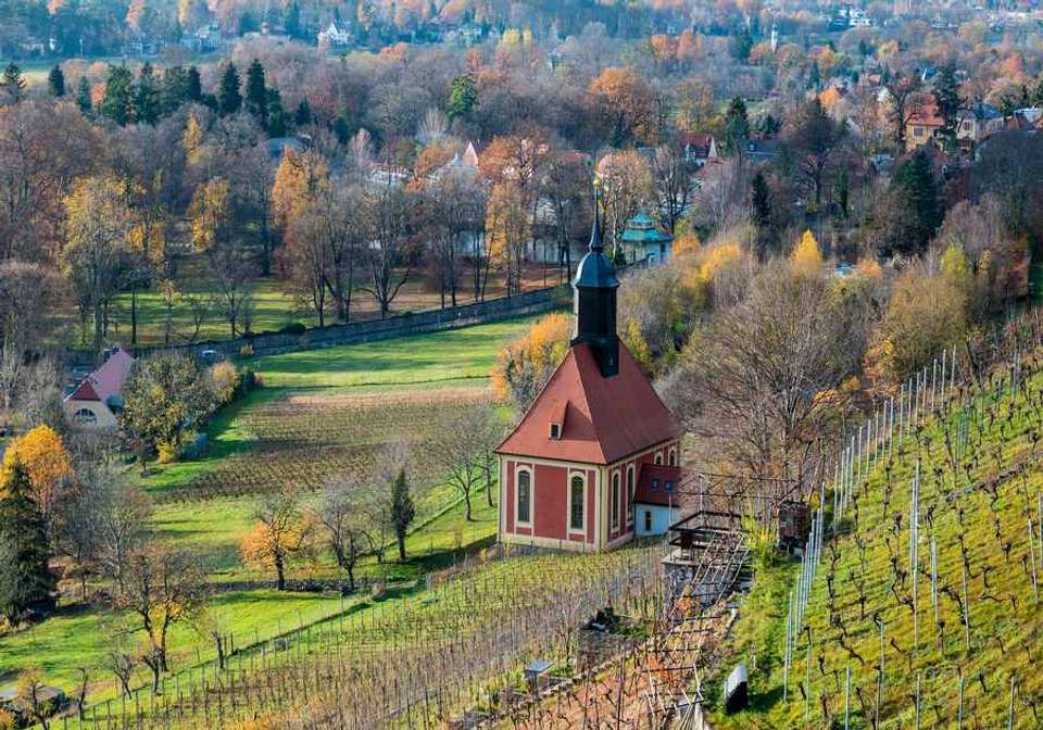 Scenic Bordeaux and Wine Regions Self Drive - Indus Travels - France - Image 7