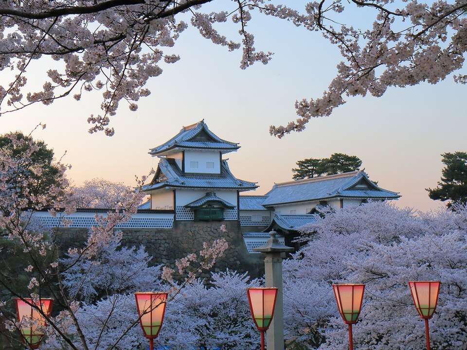 Scenic Japan - 8 days - On The Go Tours - Japan - Image 6