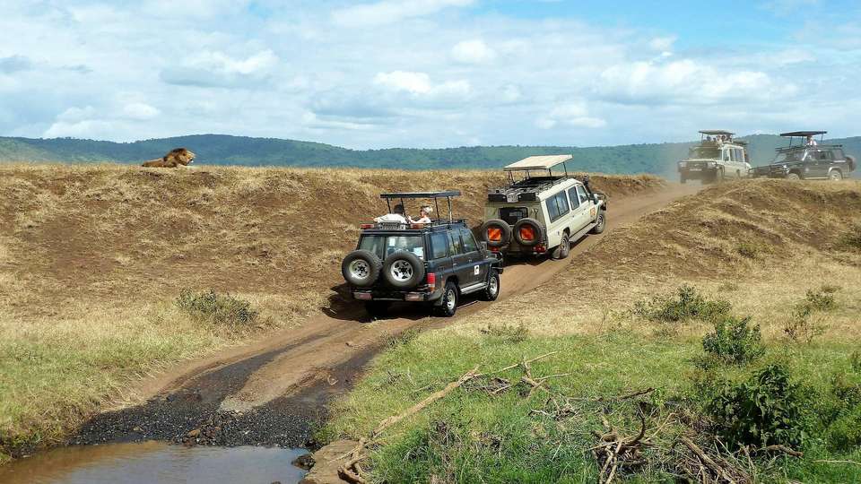 Scenic Kenya and Zanzibar - undefined - Image 6