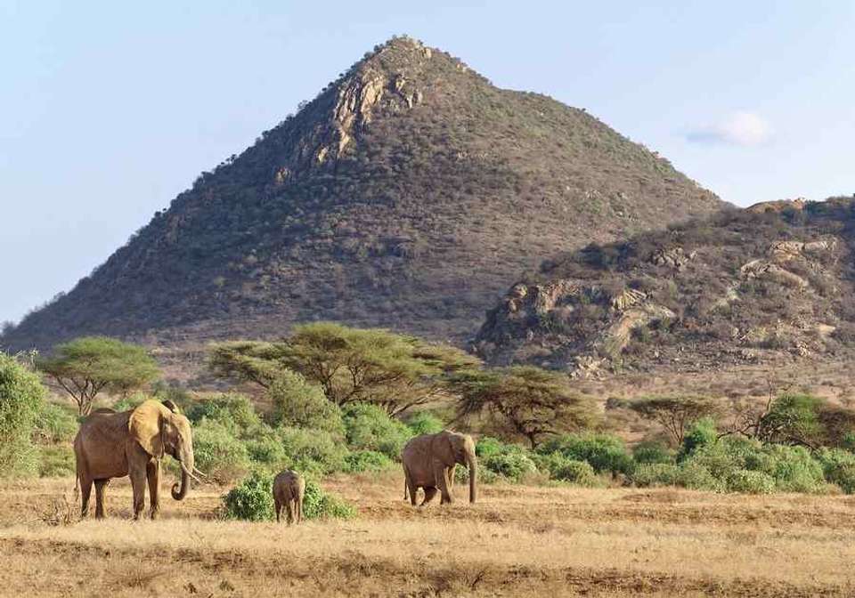 Kenyan Highlands and Plains Safari - Indus Travels - Kenya - Image 3