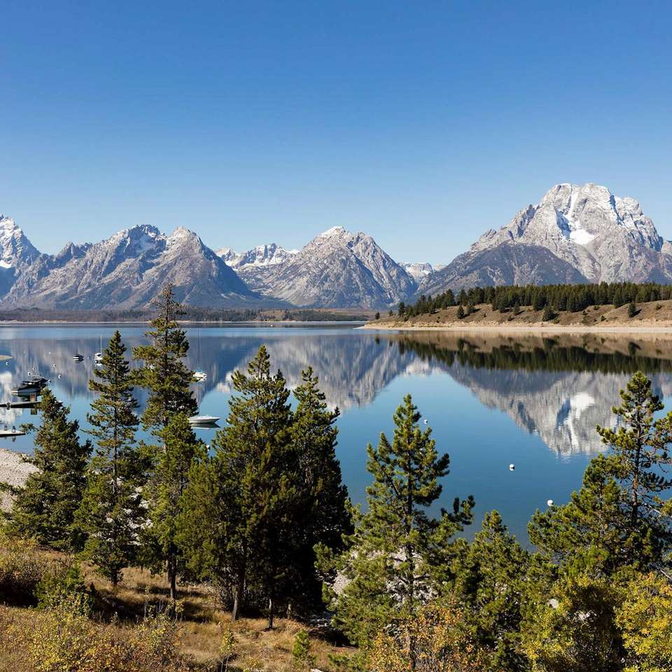 Scenic Parks Explorer - Trafalgar - USA - Image 5