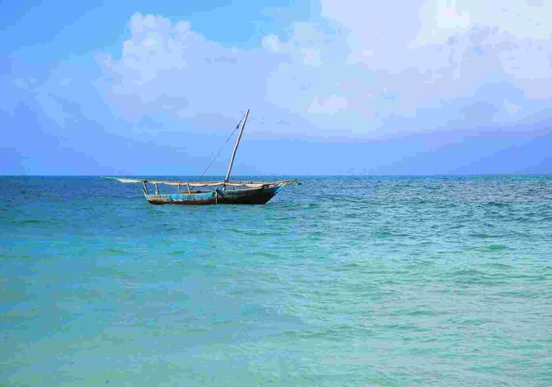 Scenic Zanzibar