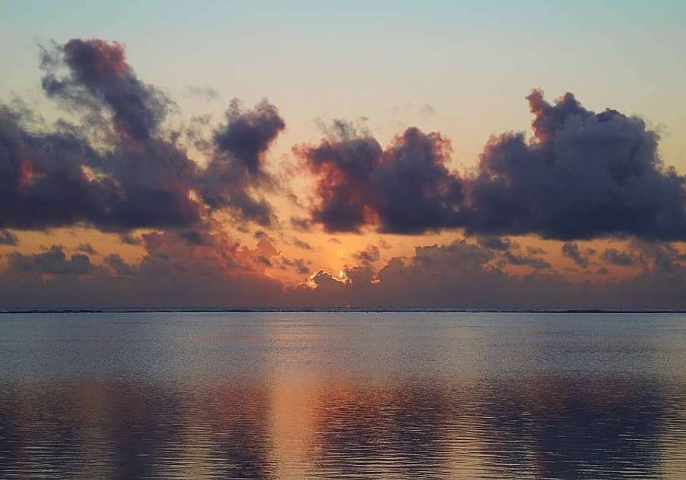 Scenic Zanzibar - Indus Travels - Tanzania - Image 3