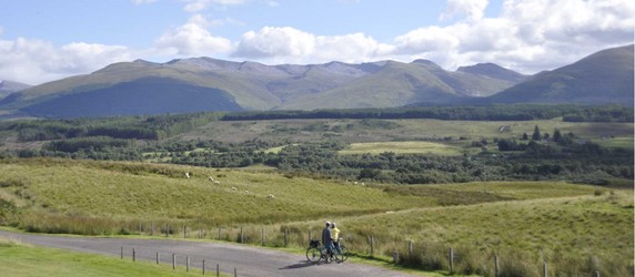 Image 3 of 8