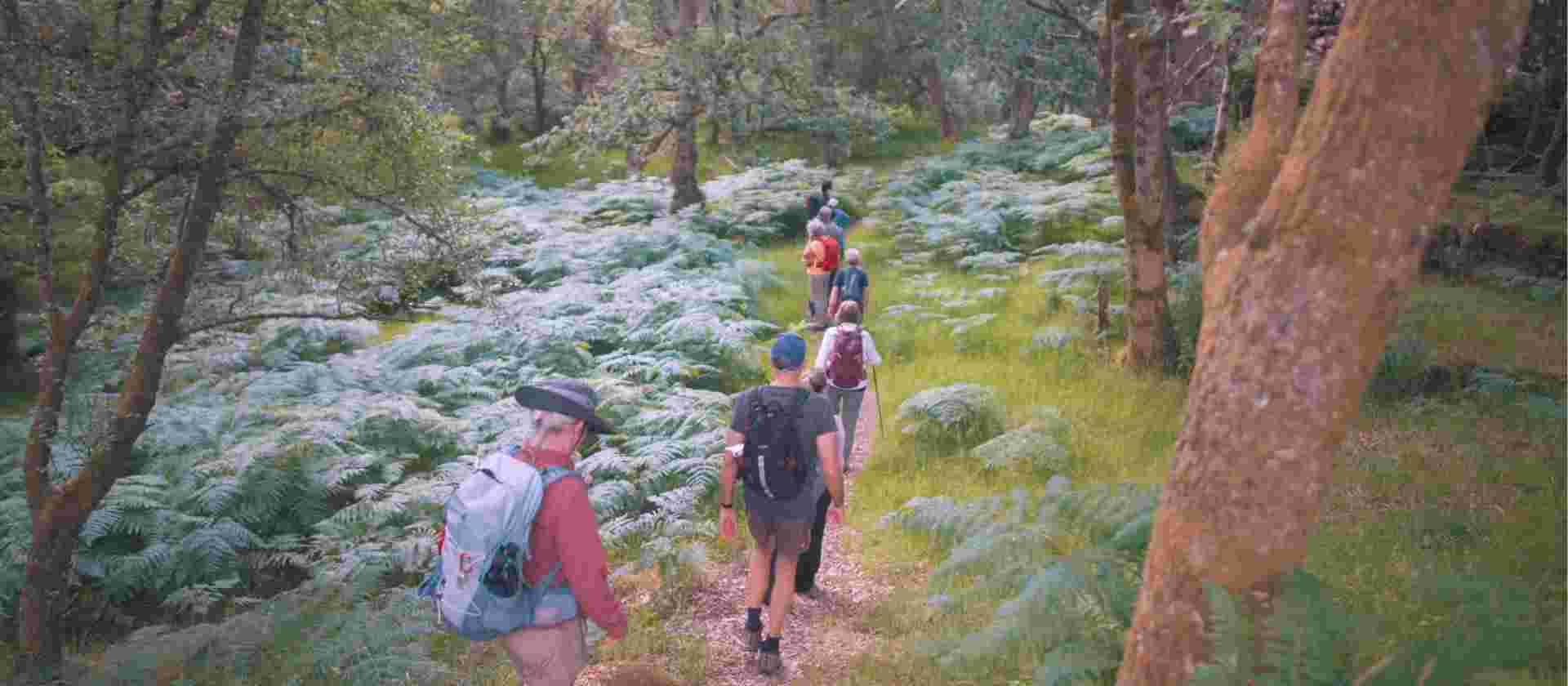 Scotland Coast to Coast Walk and Barge
