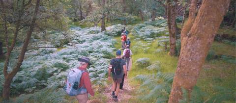 Small Group Tours: Scotland Coast To Coast Walk And Barge