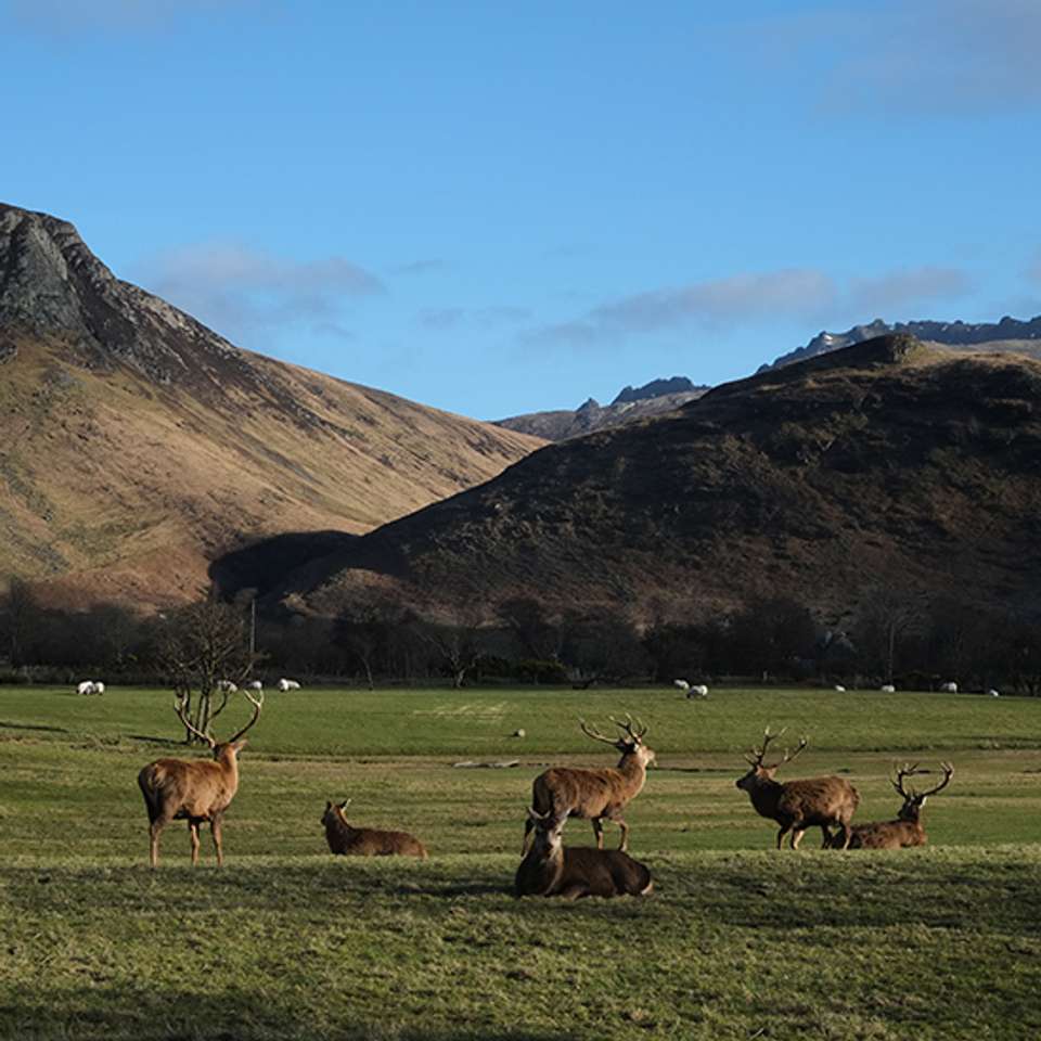 Scotland: Lochs and Landscapes - Back-roads Touring - Scotland - Image 7