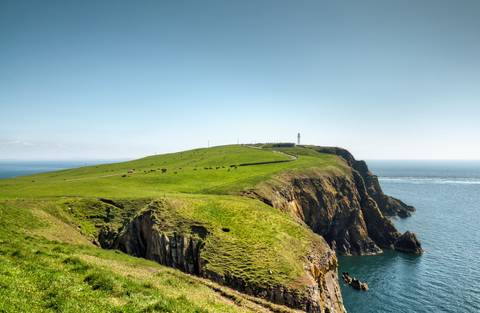 Scotland To Spitsbergen: Puffins, Sea Ice And Wildlife - Spring Tours