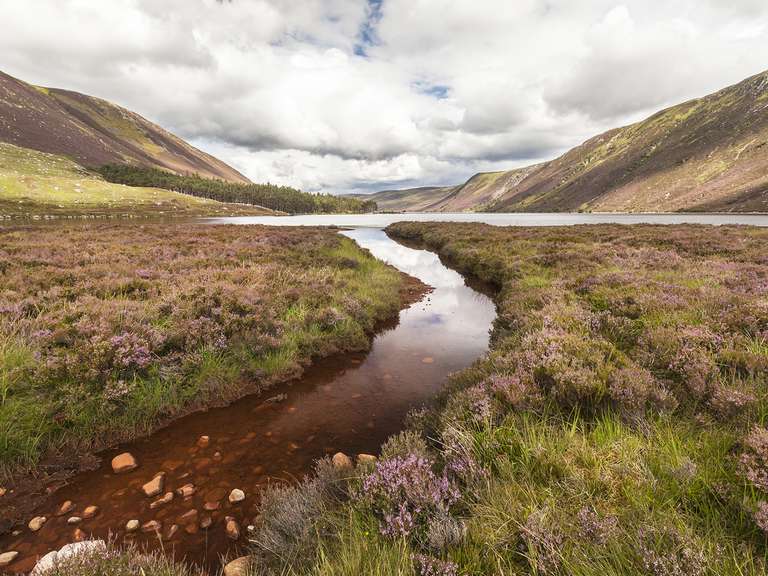 Scotland Whisky Trail - 3 days trip - alternative tour available