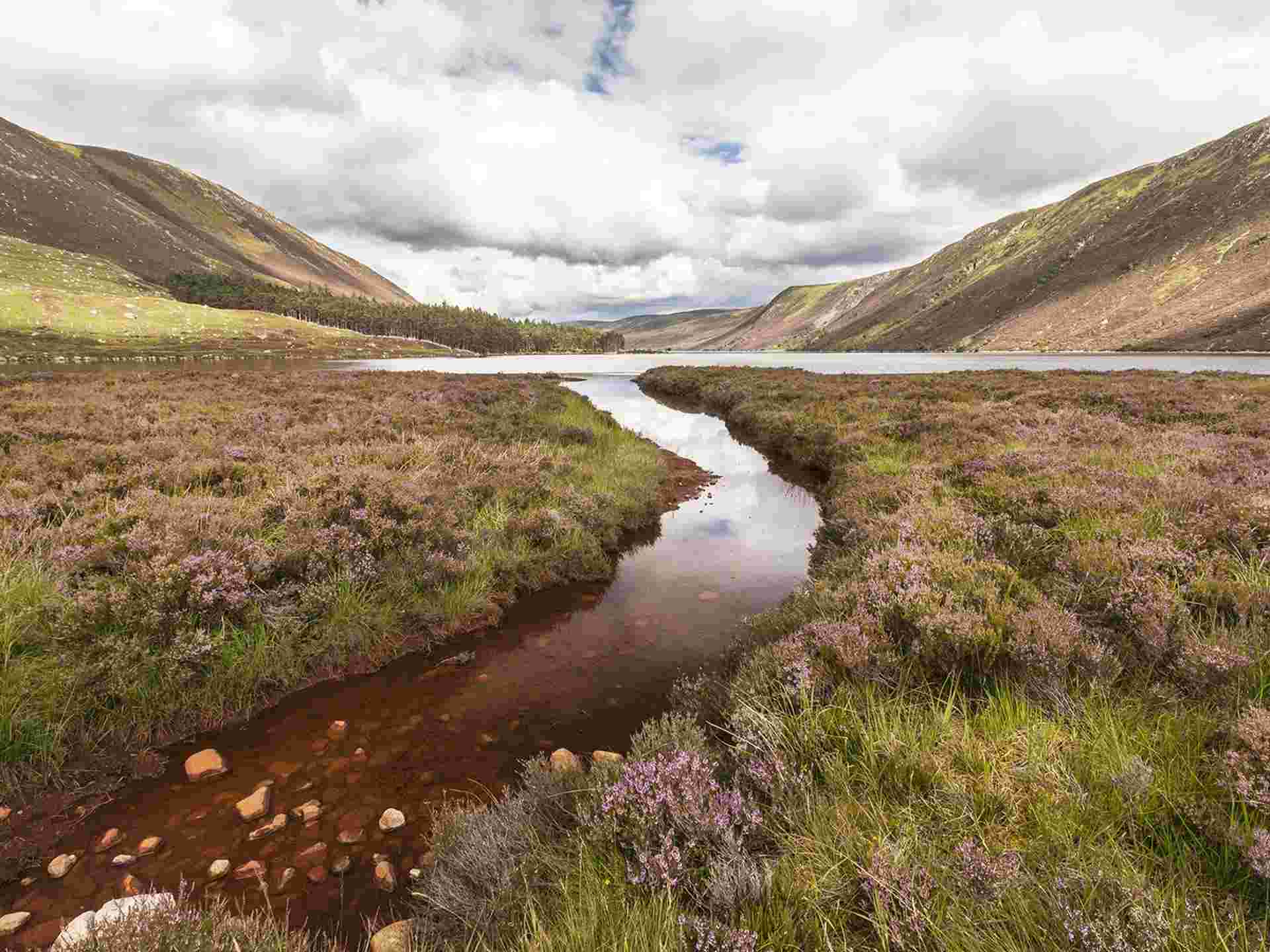 Scotland Whisky Trail - 3 days