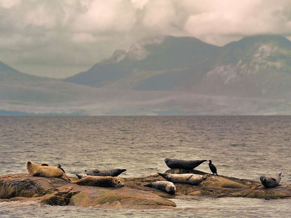 Scottish Islands Encompassed - 17 days - undefined - Image 3