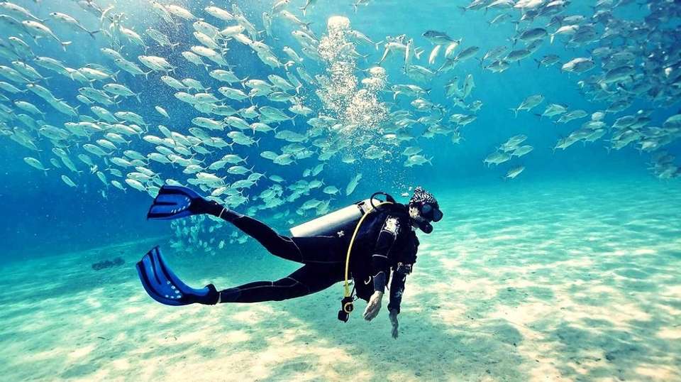 Scuba Diving Experience with BBQ Lunch - Nemo Diving Center - UAE - Image 3