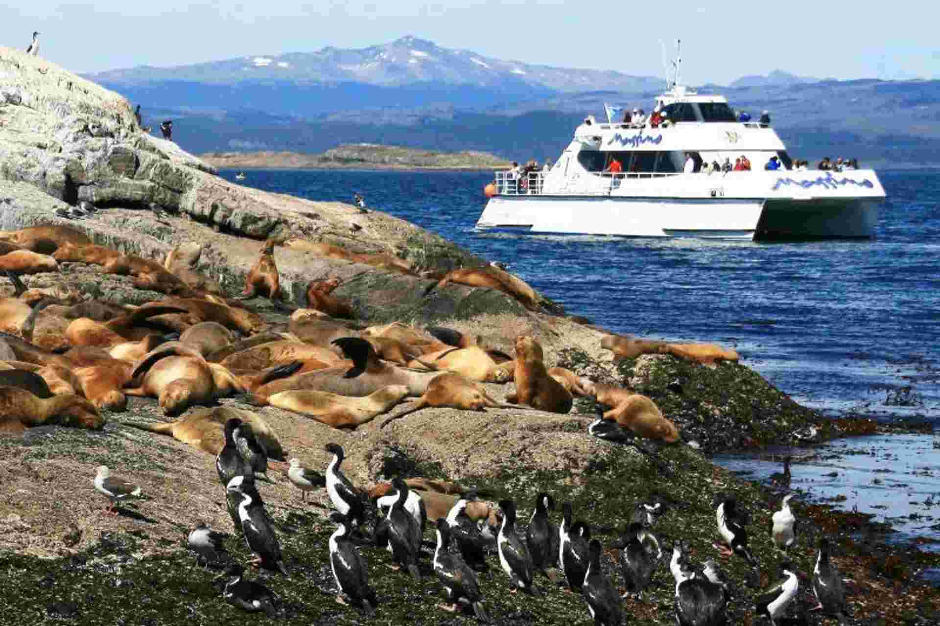 Sea Lions & Birds Island Boat Tour