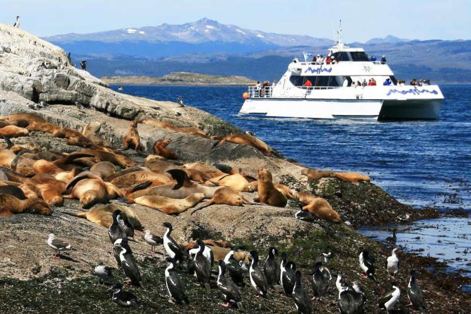 Sea Lions & Birds Island Boat Tour - Tangol Tours - Argentina - Image 1