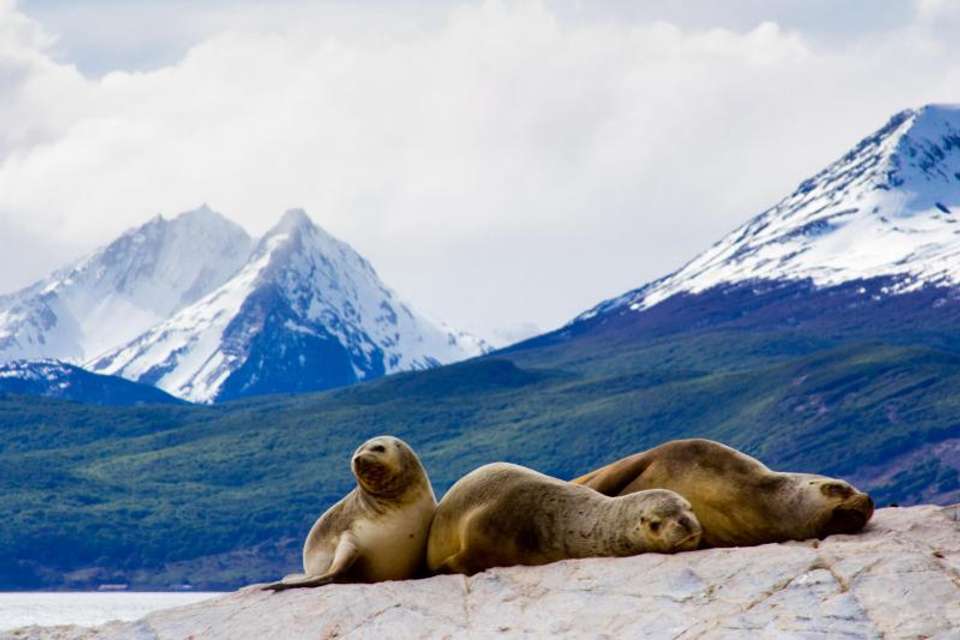 Sea Lions & Birds Island Boat Tour - Tangol Tours - Argentina - Image 2