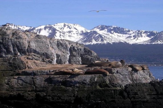 Image 4 of 6