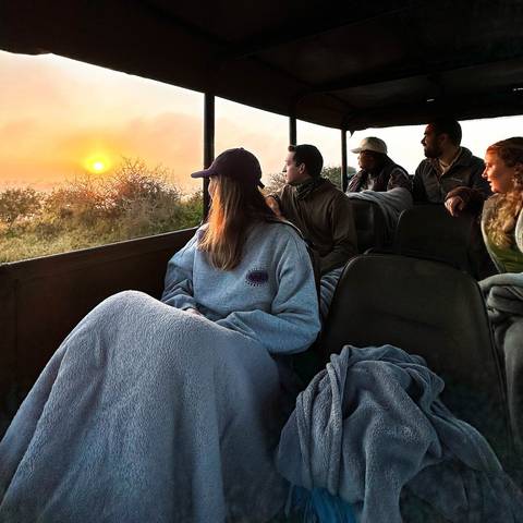 Southern Africa Eco Tours: Sea, Safari, South Africa 35 To 45