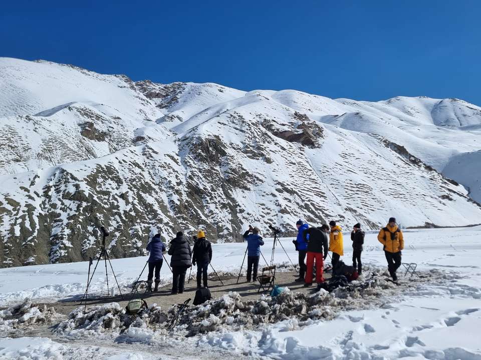 Search for Snow Leopards with Valerie Parkinson - Exodus Adventure Travels - India - Image 6