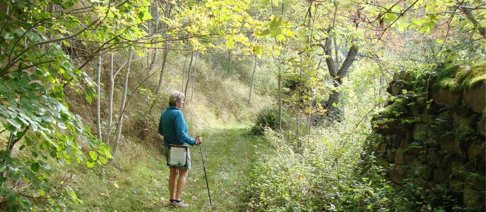 Secret France: Walking in the Ardeche - 8 Days - Walkers' Britain - France - Image 2