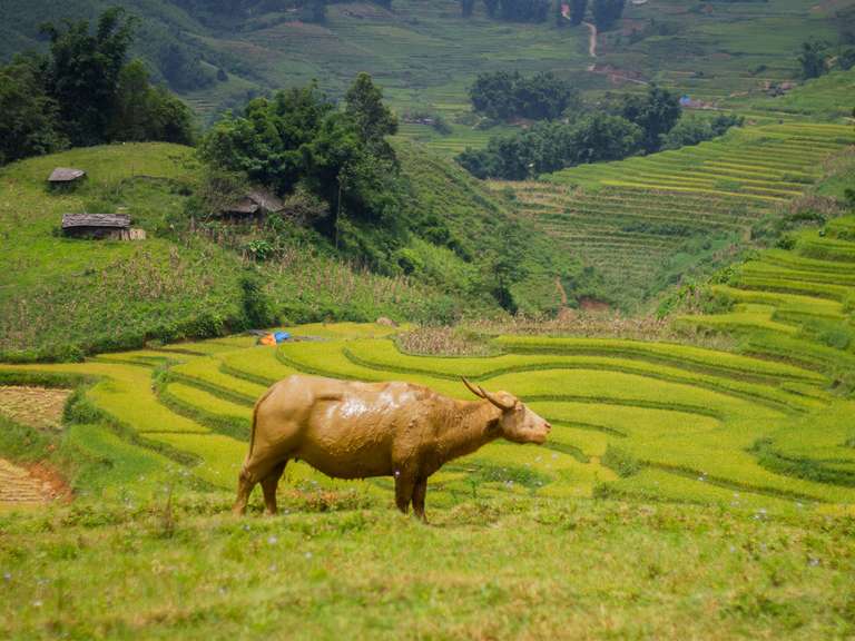 Secrets of North Vietnam - 8 days trip - alternative tour available