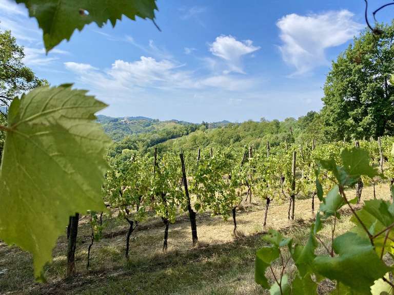 Secrets of Slovenia Cycling trip - alternative tour available