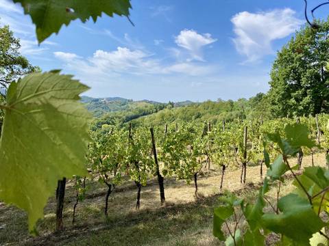 Secrets Of Slovenia Cycling - Spring Tours