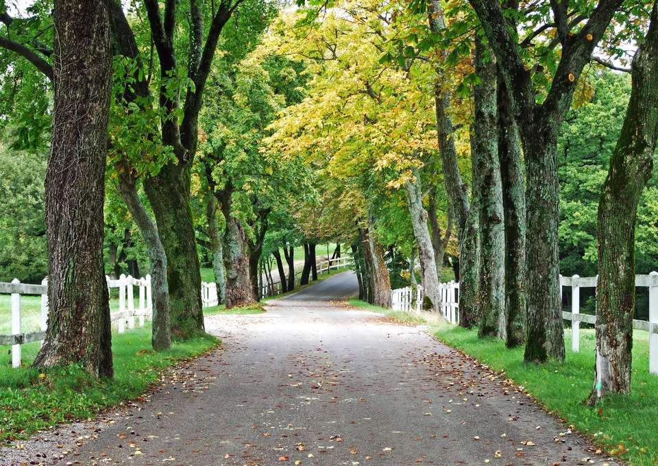Secrets of Slovenia Cycling - Exodus Adventure Travels - Slovenia - Image 12
