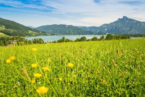 Self-guided Walking In Austria's Lake District - August 2026