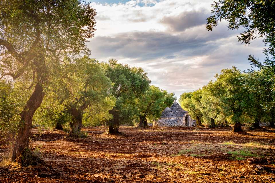 Self Guided Walking in Puglia: From Lecce to Matera - undefined - Image 10