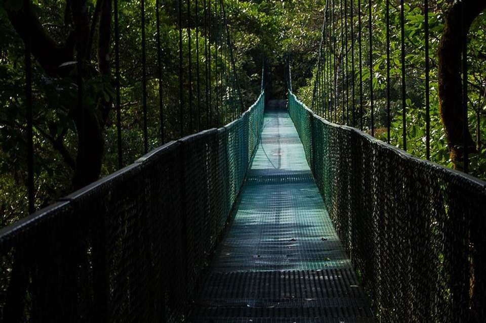 Selvatura Park Combo Tour From Monteverde - undefined - Image 3