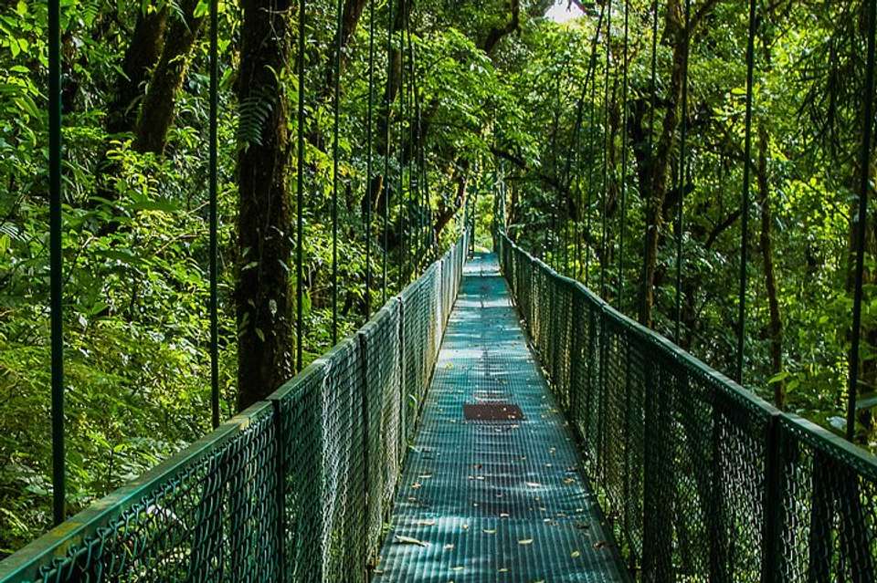 Selvatura Park Combo Tour From Monteverde - undefined - Image 4