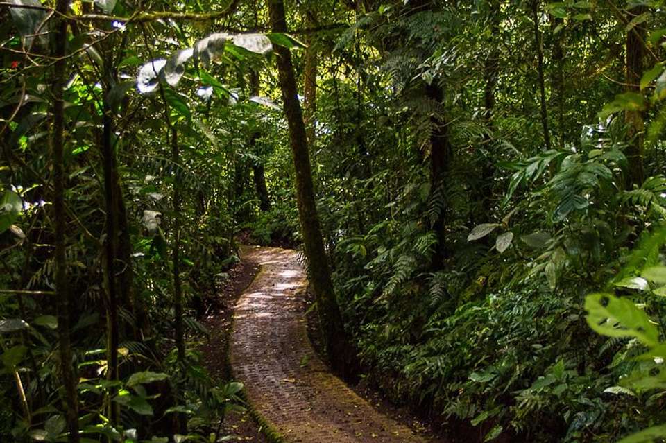 Selvatura Park Combo Tour From Monteverde - undefined - Image 5