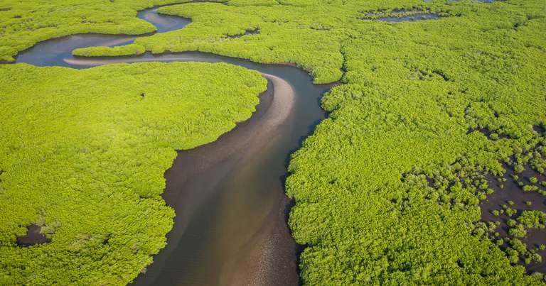 Africa Wildlife safaris and game drives Tour: Senegal and The Gambia
