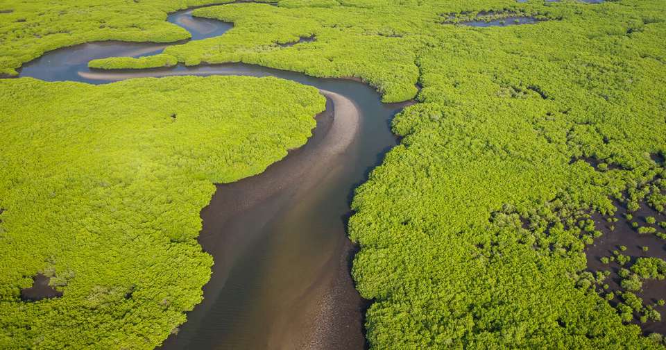 Senegal and The Gambia - Explore - Senegal - Image 1