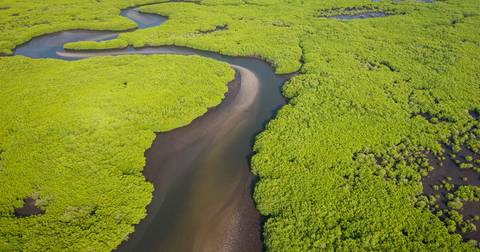 Cruise Tour: Senegal And The Gambia