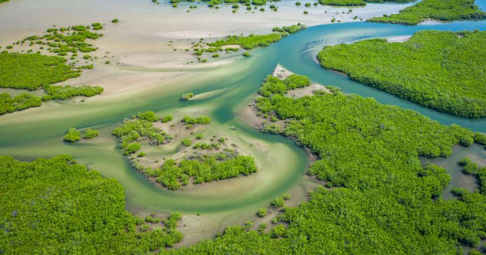 Senegal and The Gambia - Explore - Senegal - Image 12