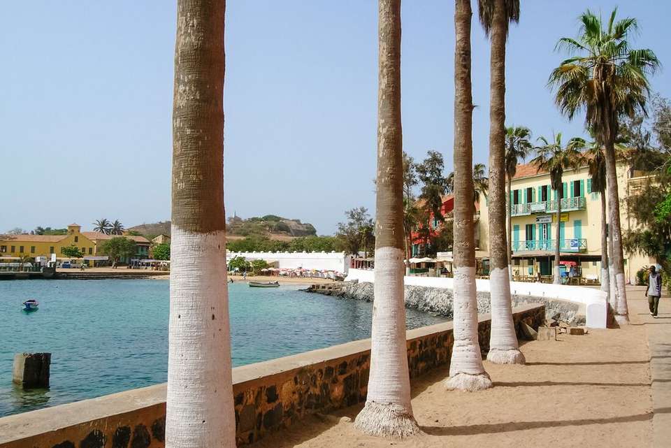 Senegal & The Gambia Adventure - Intrepid Travel - Senegal - Image 9