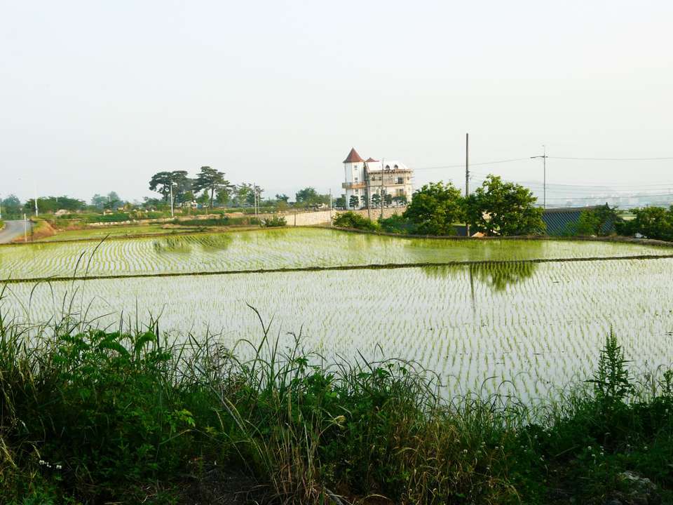 Seoul & Silla Kingdoms (4 Star) - 6 days - On The Go Tours - South Korea - Image 3