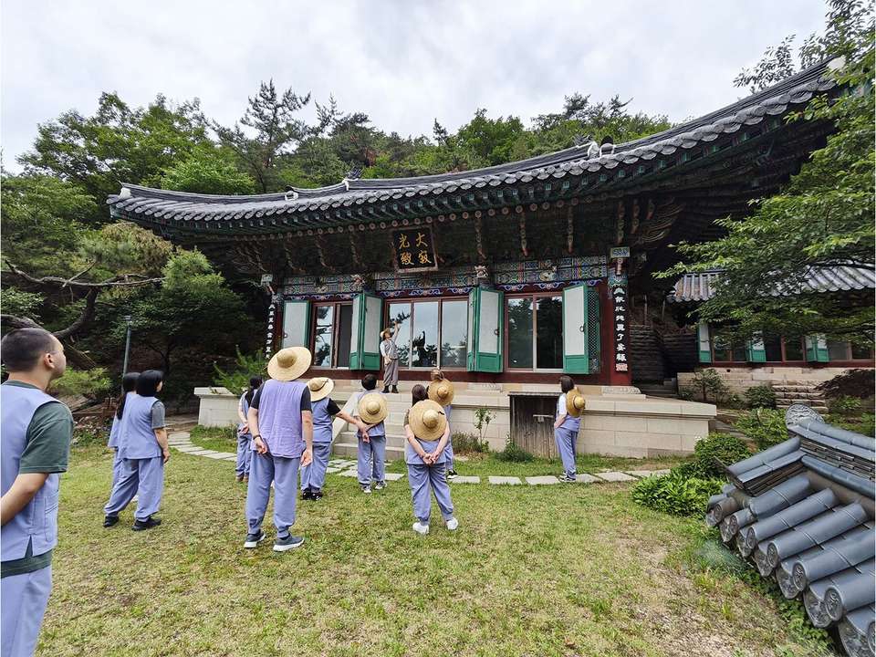 Seoul In Depth & DMZ - 6 days  - On The Go Tours - South Korea - Image 5
