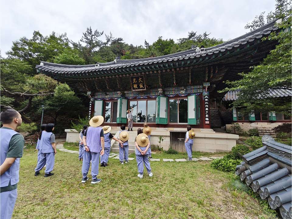 Seoul to Busan Adventure - 10 days - On The Go Tours - South Korea - Image 10