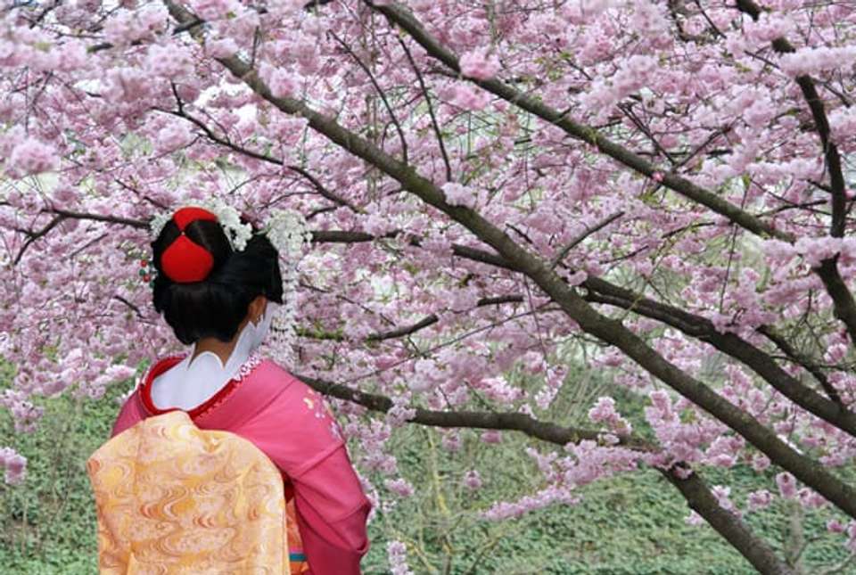Seoul to Kyoto Adventure - 22 days - On The Go Tours - South Korea - Image 14