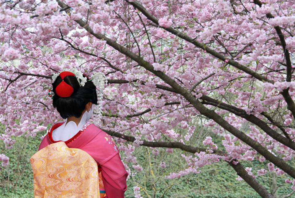Seoul to Kyoto Adventure - 22 days - On The Go Tours - South Korea - Image 14