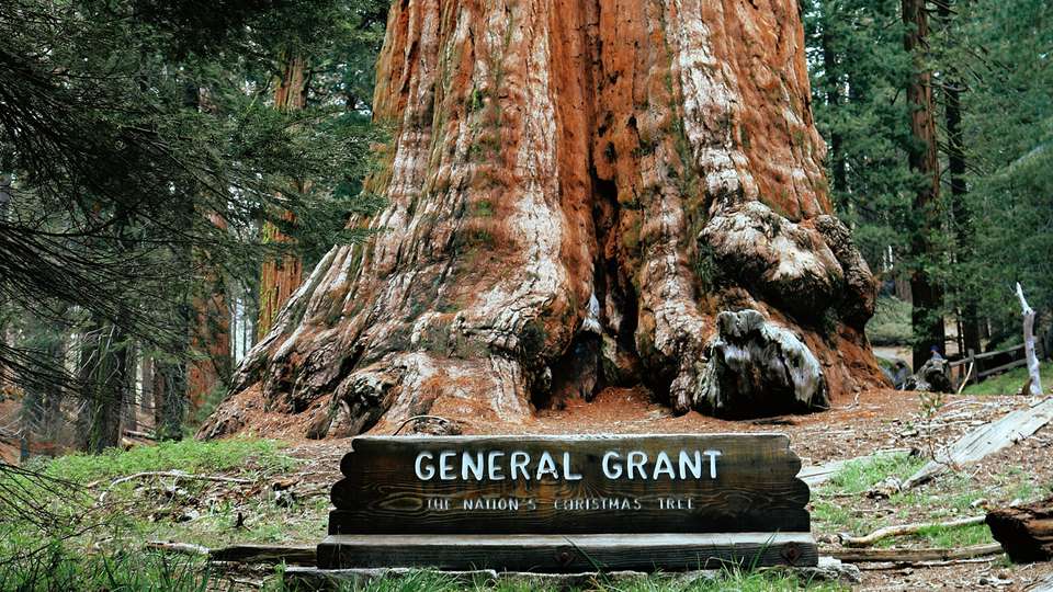 Sequoia & Kings Canyon National Parks featuring San Diego and California’s Central Coast - Collette Tours - USA - Image 2