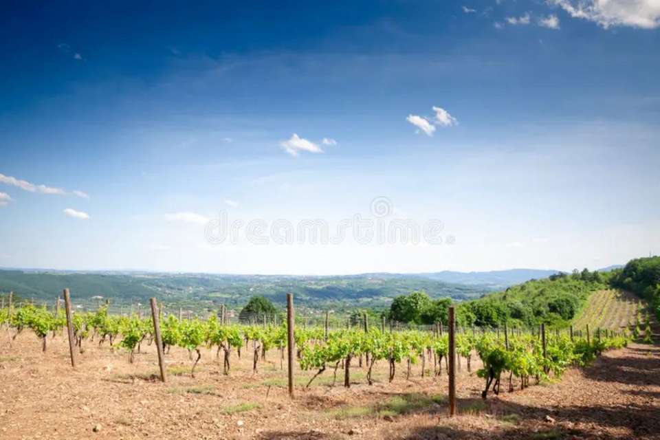 Serbia Uncovered - 7 days - On The Go Tours - Serbia - Image 3