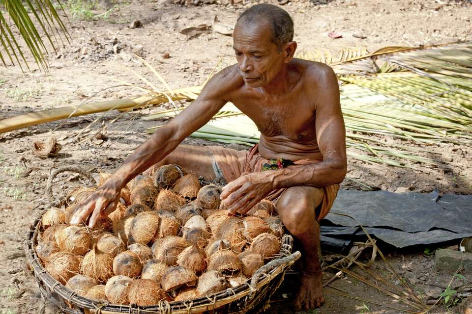 Kerala South India - Destination Services - India - Image 2