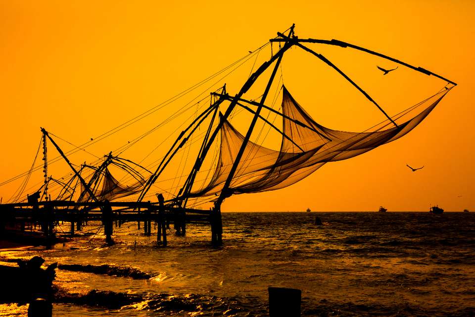 Kerala South India - Destination Services - India - Image 5