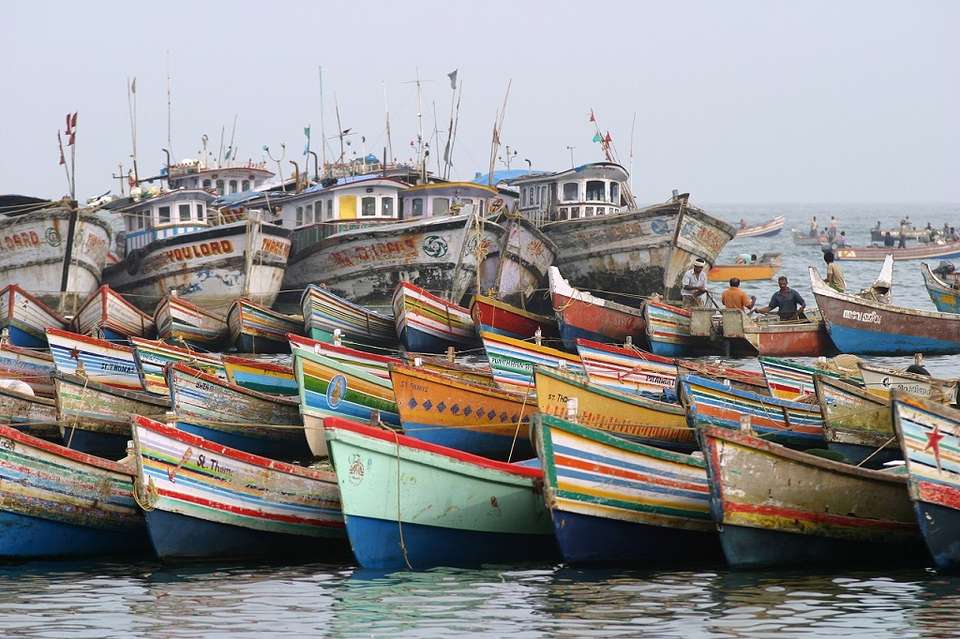 Kerala South India - Destination Services - India - Image 7